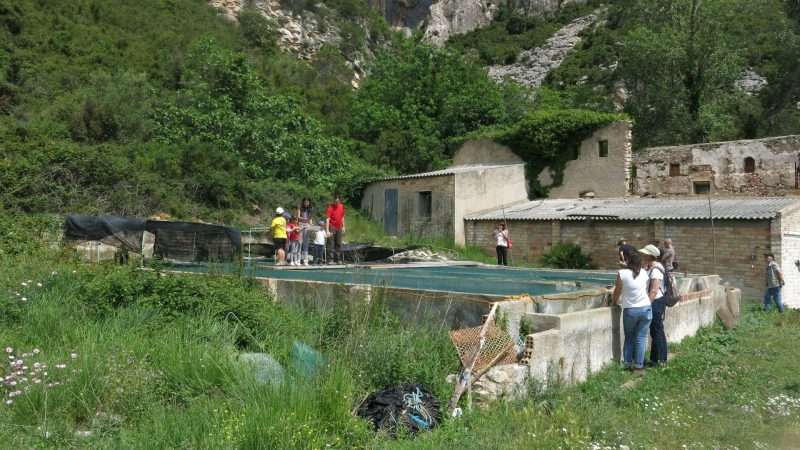 02-espais en custodia-00003-800x450