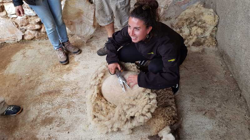 aiguanatura-ovelles-002