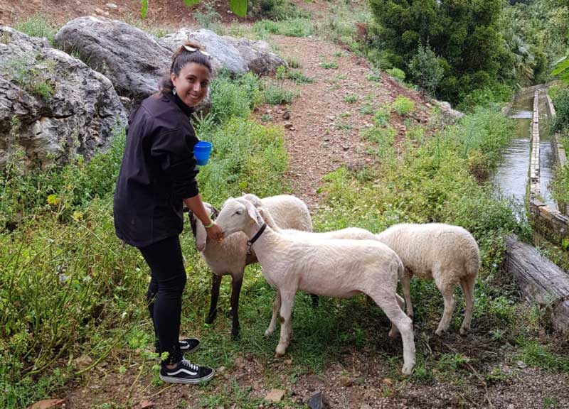 aiguanatura-ovelles-003